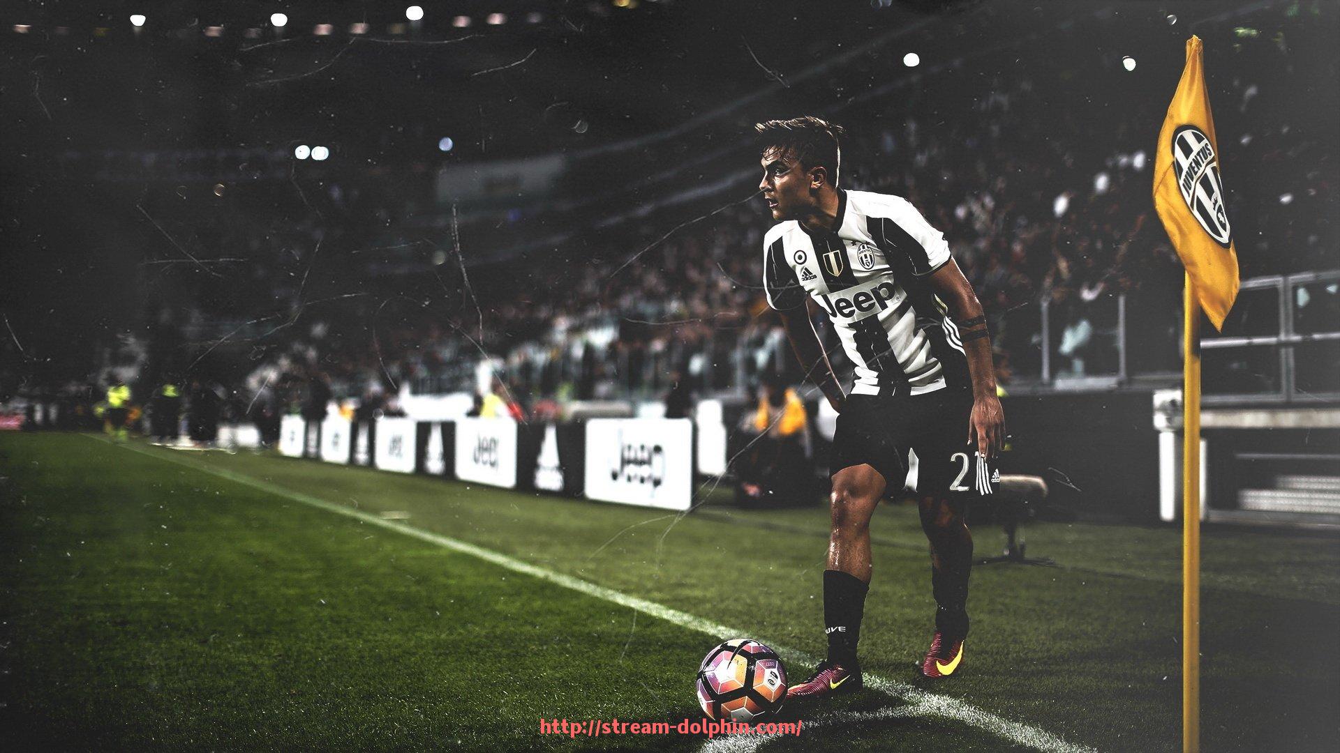 海豚直播-佛山CBA球队老板身份及球队运营介绍