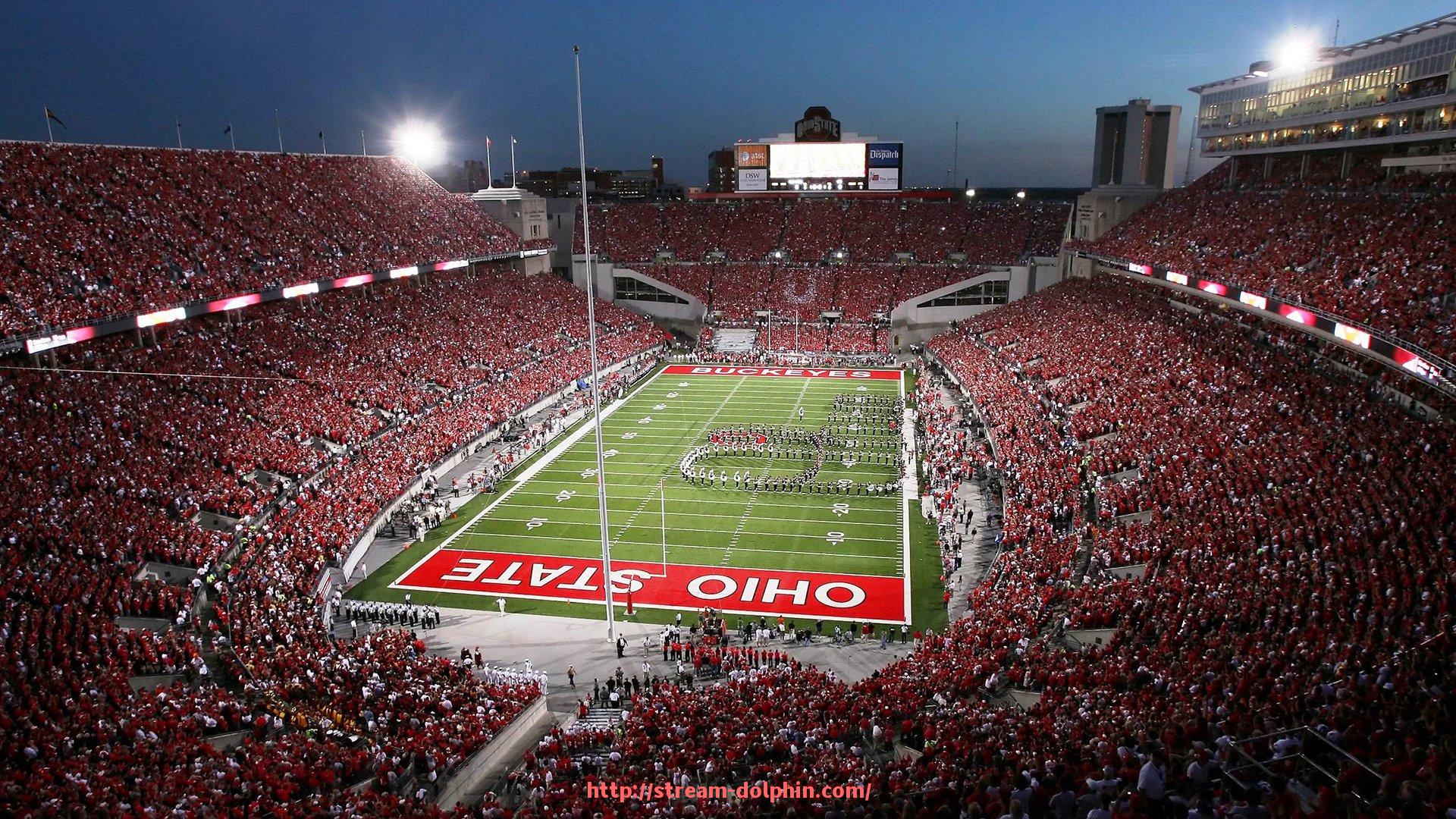 海豚直播-商用健身器材哪个好？性价比及市场口碑评测