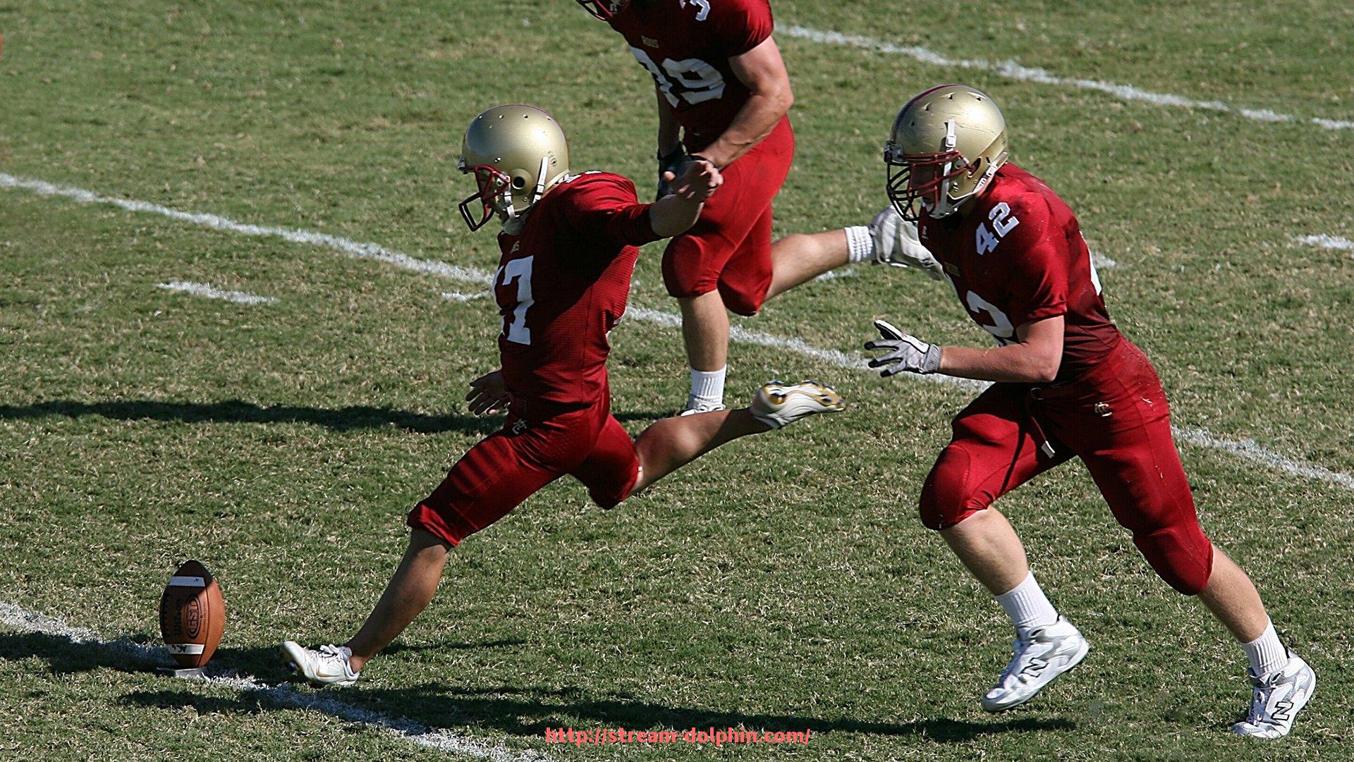 海豚直播-火箭队所有比赛的集锦合集与高光时刻分析
