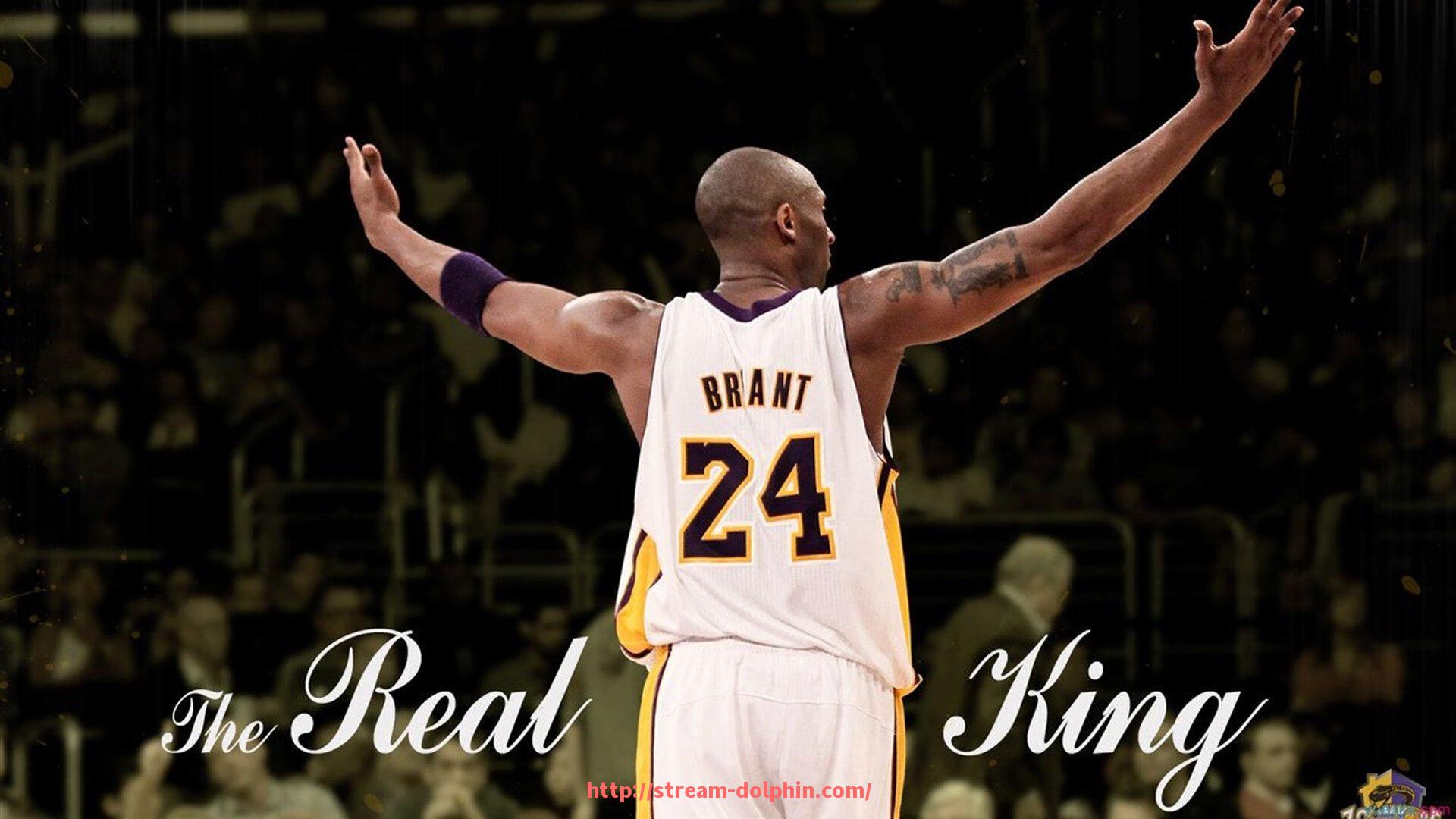 海豚直播-法甲联赛历史上进球最多的球员是谁？