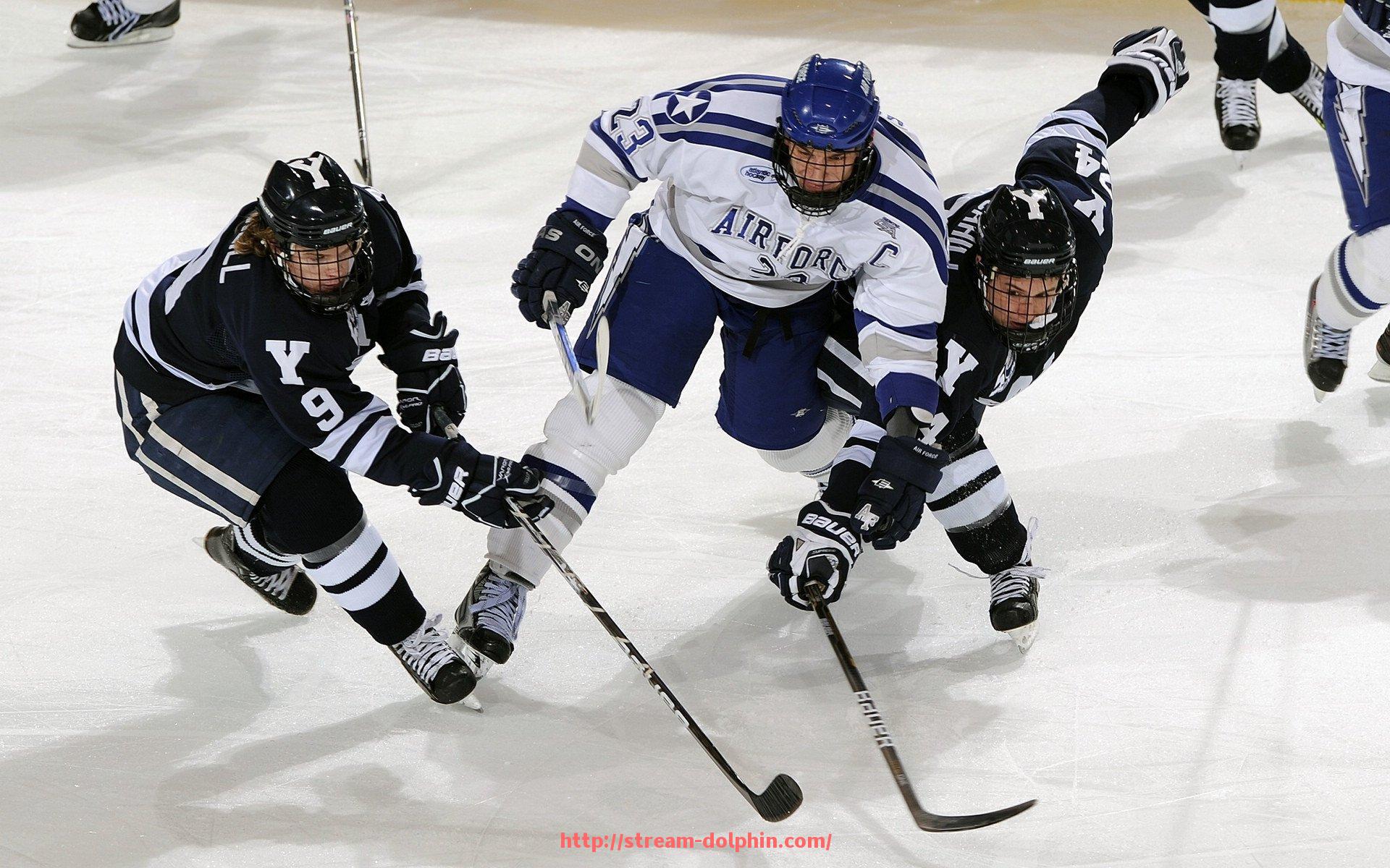 海豚直播-世俱杯球衣品牌流通市场定价模型的构建与应用分析