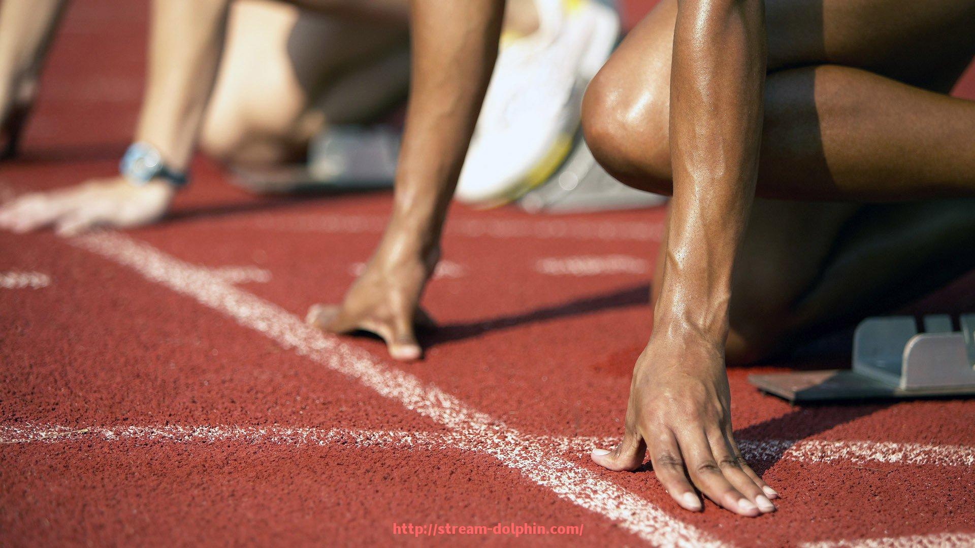 海豚直播-曼城世俱杯国内媒体资源分布及独家报道盘点