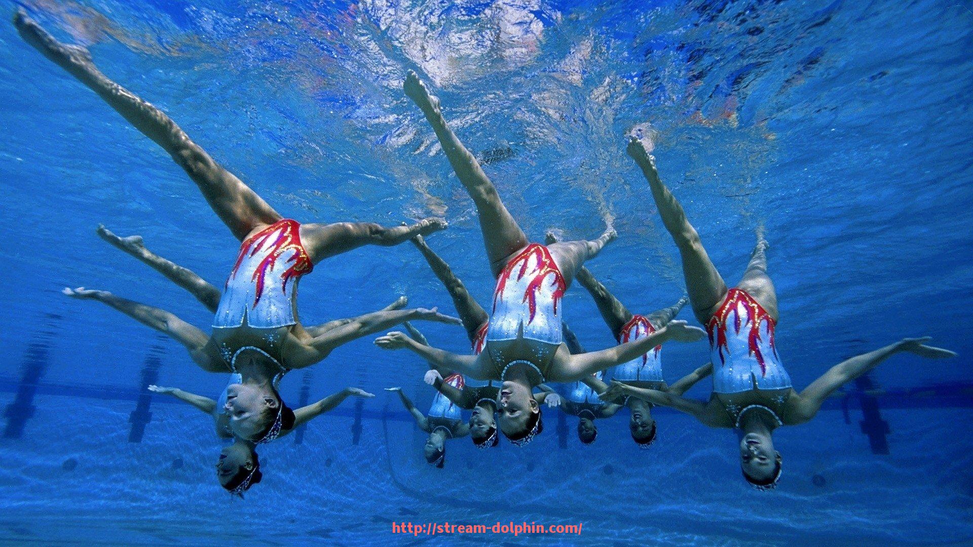 海豚直播-火箭队队史各种纪录总汇与统计数据